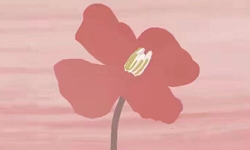 ����л��ɽ���⳵