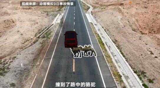 �����ɳ����¹�˾����ȫ��