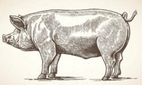 ������������˽����������������