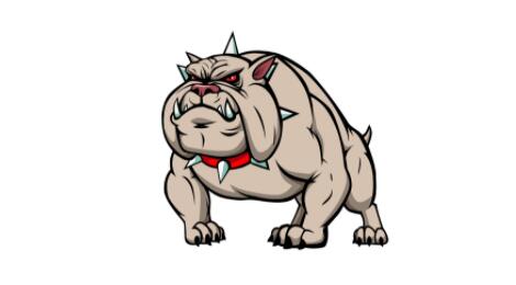 中纪委评河南安阳狗咬人事件