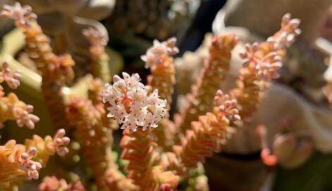 ����ǰ��ͳ���Ȼݻ��ر�����