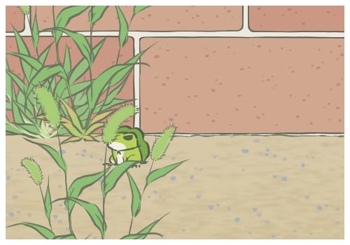 Ů��ѧ����������