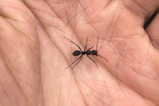 ���ʾ���ʵ�д���