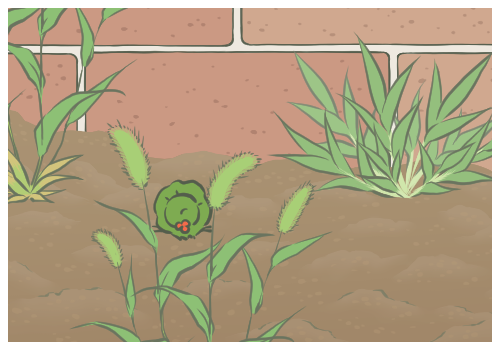 �ڿվ����ؾ�����ʩ��̱��