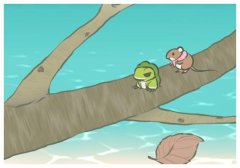 被打后还手属于正当防卫还是互殴？司法明确界限