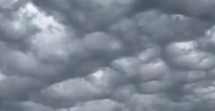 大连天空现窟窿云,糙面云预示着什么吗?