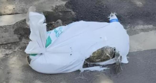 �����������������㱻ץ