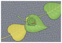 �����¿˰�ǹ���⸸�׾ٱ�����,������������ȷ��