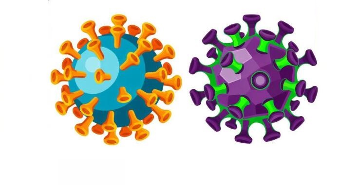 �������¹��ĸ�����