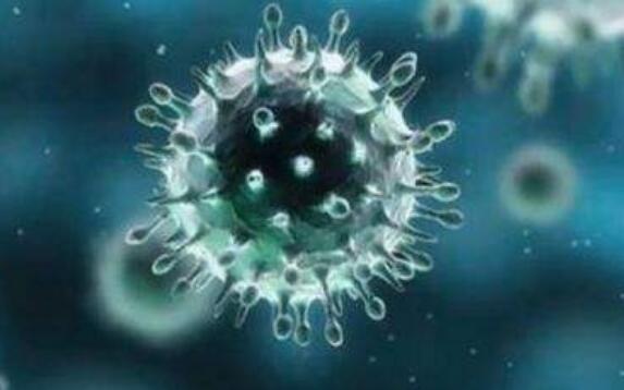 鼻病毒阳性率上升